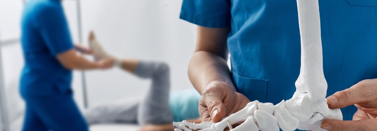 Close up of a medical professional holding a model of a foot